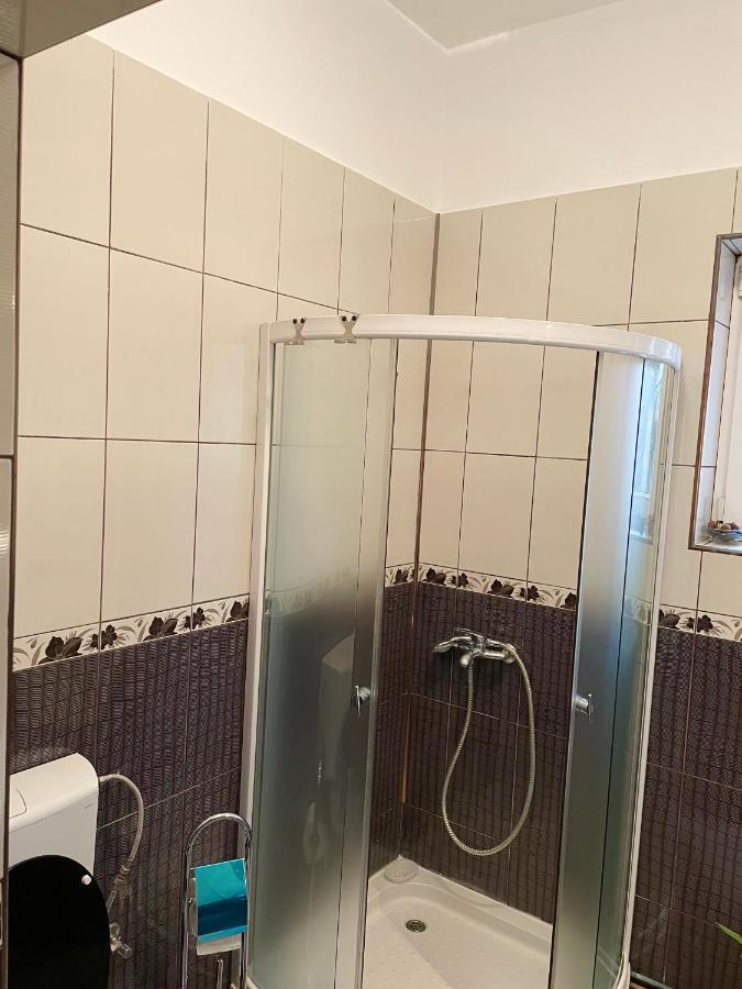 Mosaico Alfetta Hostel 蒂米什瓦拉 外观 照片