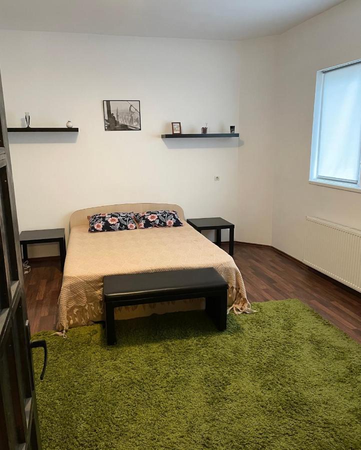 Mosaico Alfetta Hostel 蒂米什瓦拉 外观 照片