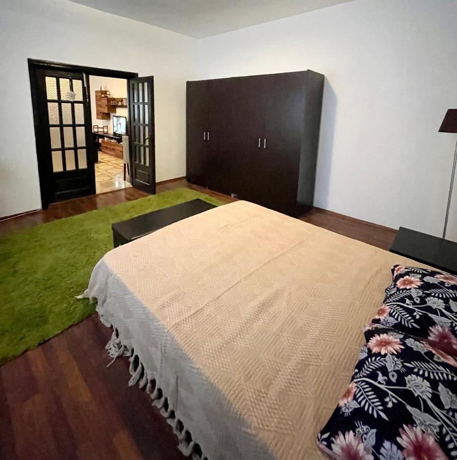 Mosaico Alfetta Hostel 蒂米什瓦拉 外观 照片