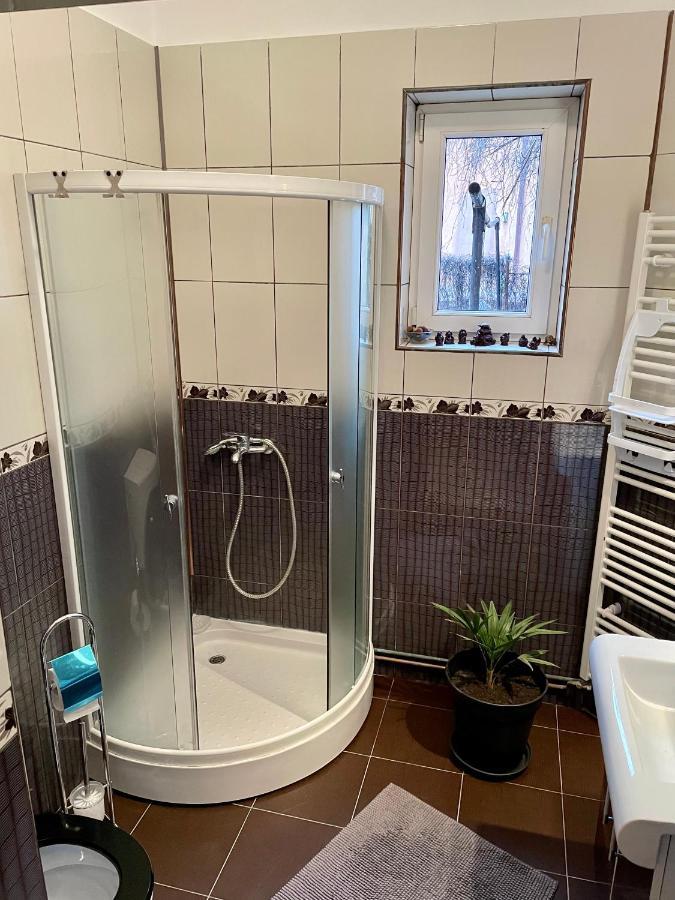 Mosaico Alfetta Hostel 蒂米什瓦拉 外观 照片