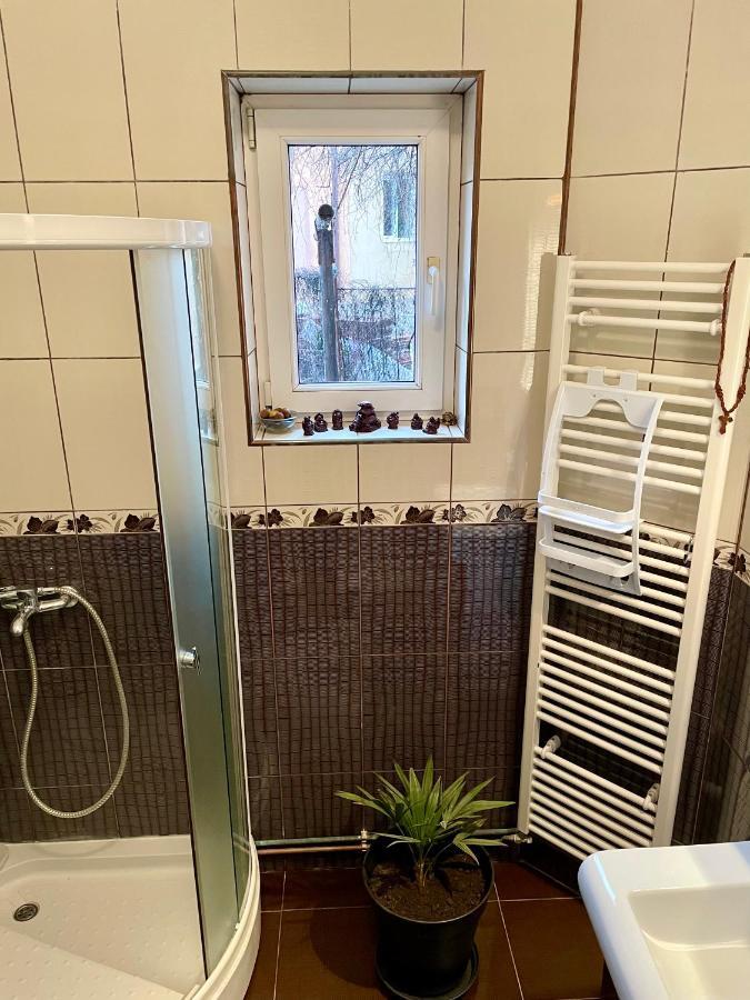 Mosaico Alfetta Hostel 蒂米什瓦拉 外观 照片