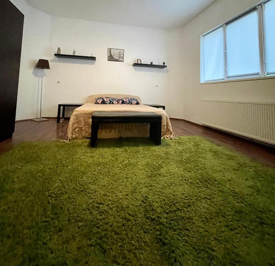 Mosaico Alfetta Hostel 蒂米什瓦拉 外观 照片