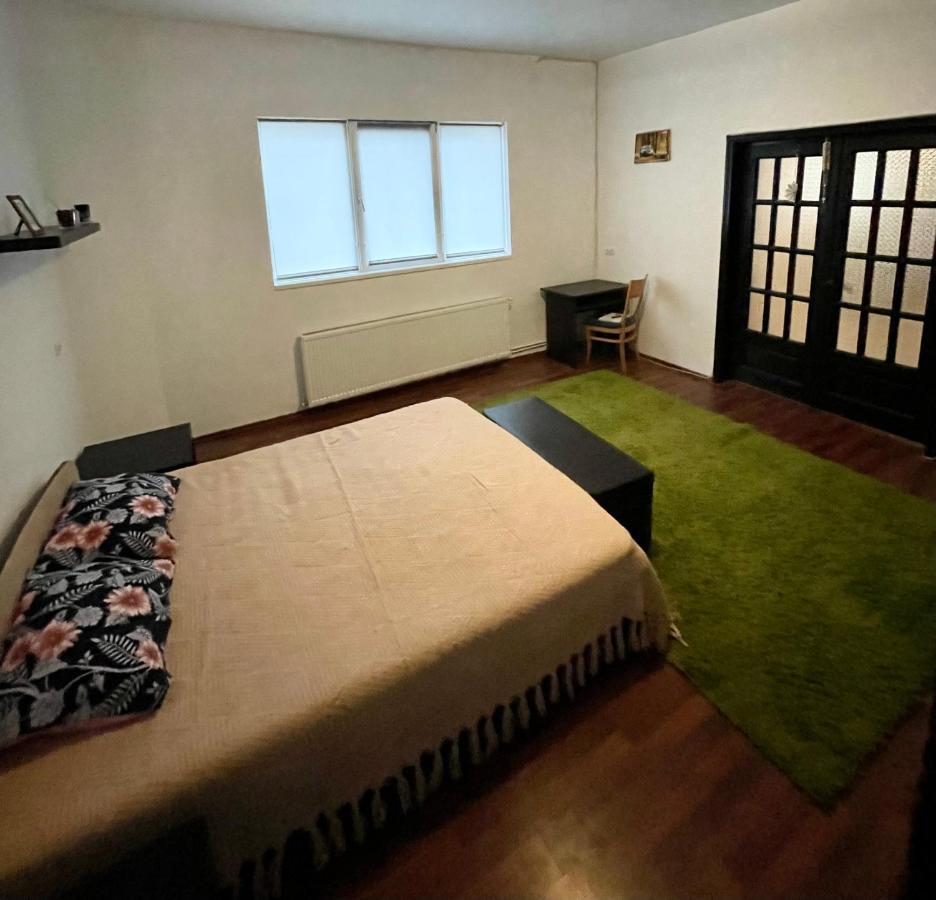 Mosaico Alfetta Hostel 蒂米什瓦拉 外观 照片