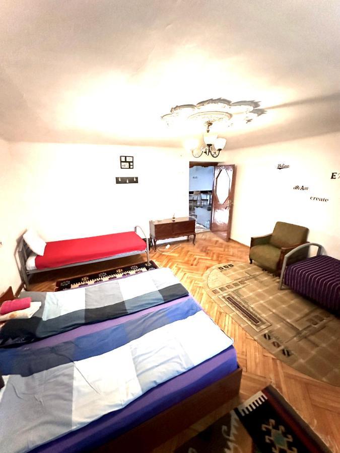 Mosaico Alfetta Hostel 蒂米什瓦拉 外观 照片