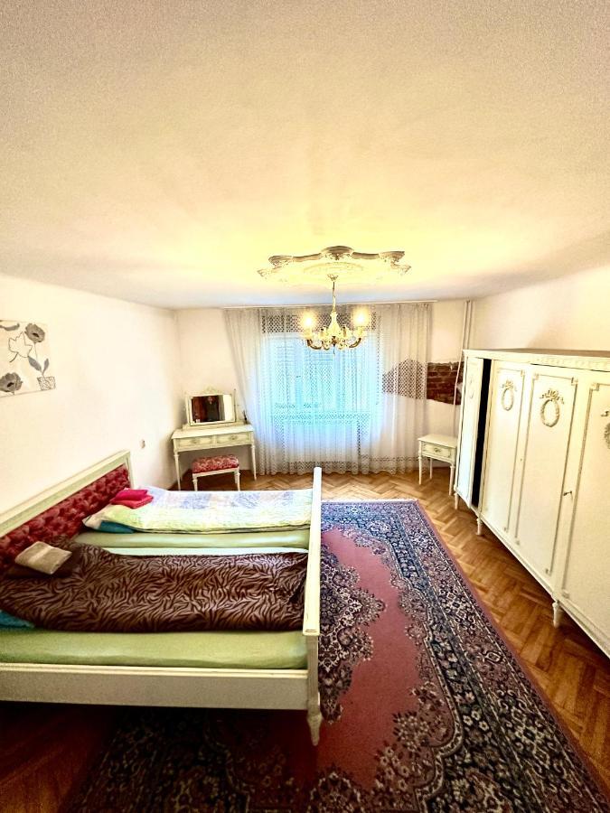 Mosaico Alfetta Hostel 蒂米什瓦拉 外观 照片