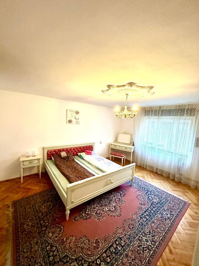 Mosaico Alfetta Hostel 蒂米什瓦拉 外观 照片