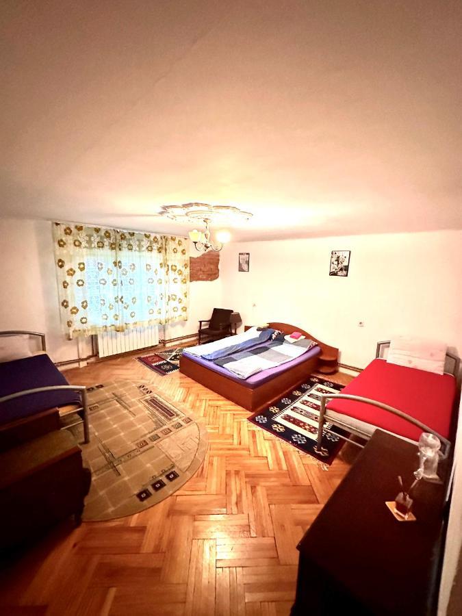 Mosaico Alfetta Hostel 蒂米什瓦拉 外观 照片