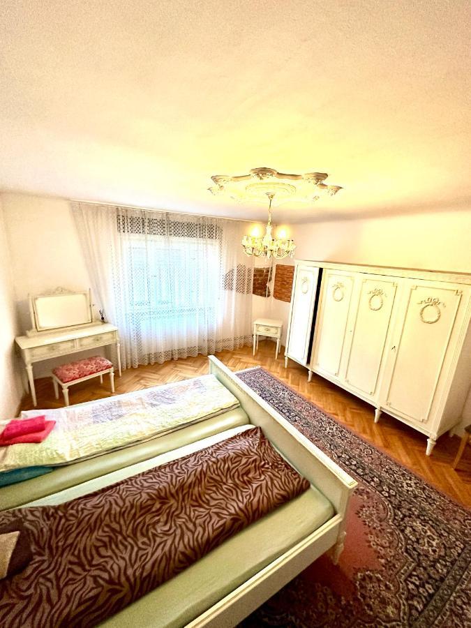 Mosaico Alfetta Hostel 蒂米什瓦拉 外观 照片