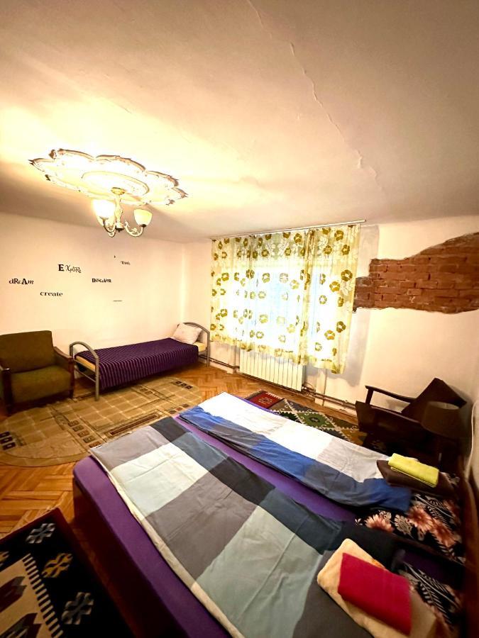 Mosaico Alfetta Hostel 蒂米什瓦拉 外观 照片