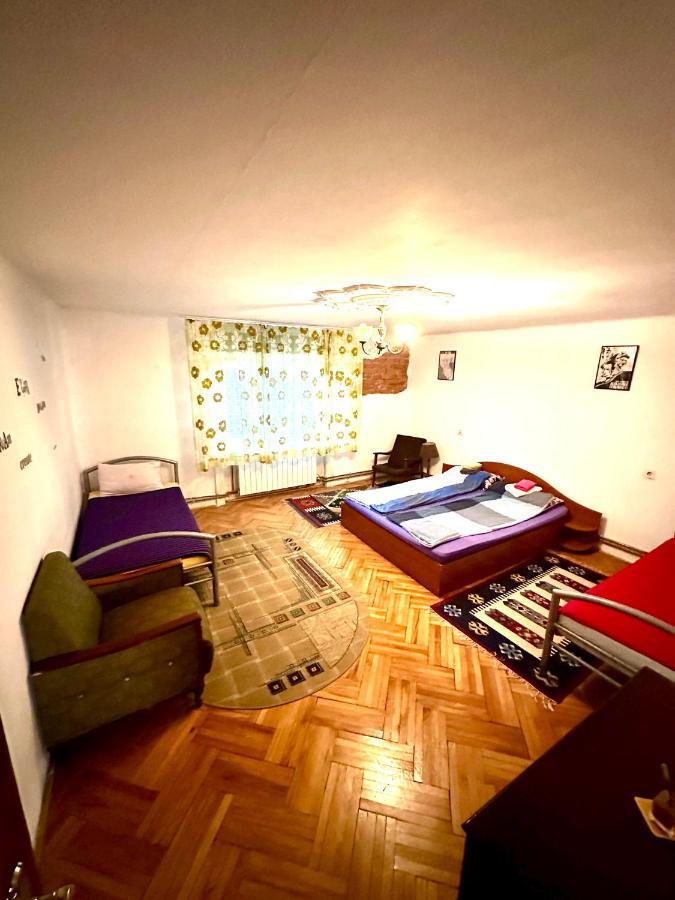 Mosaico Alfetta Hostel 蒂米什瓦拉 外观 照片