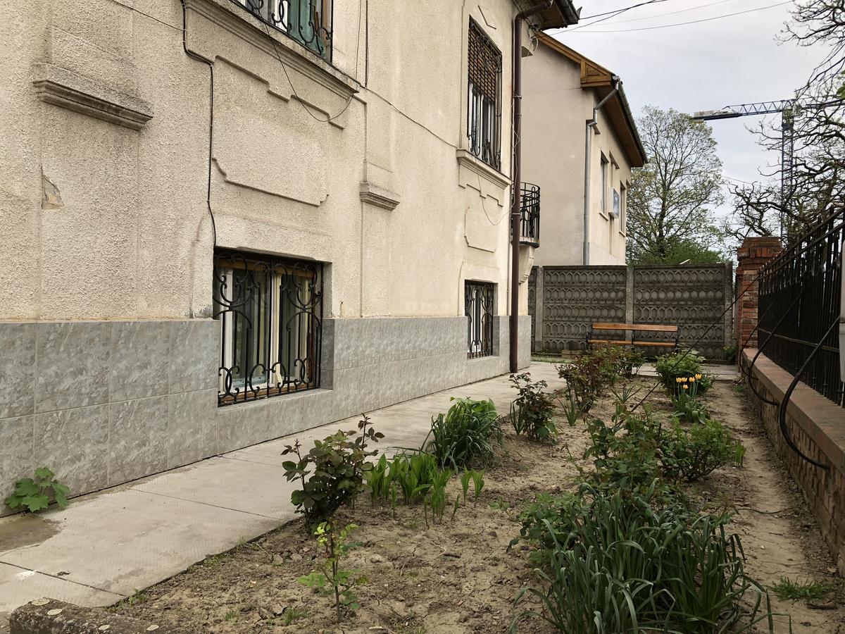 Mosaico Alfetta Hostel 蒂米什瓦拉 外观 照片
